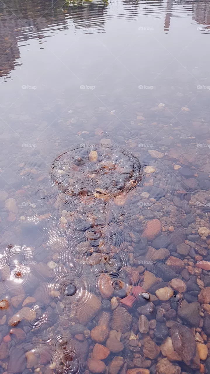 river