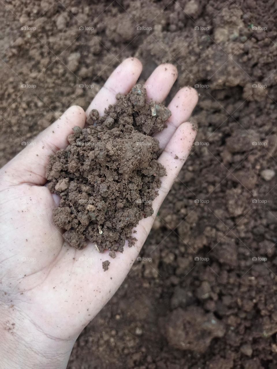 Farming Soil