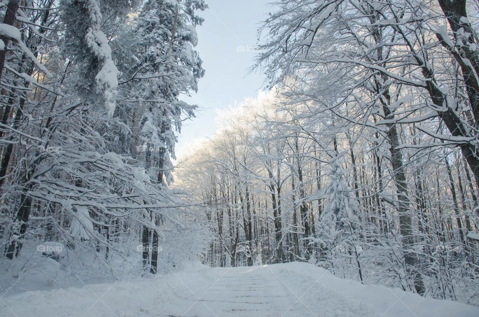 On the Snow road, Winter landscape