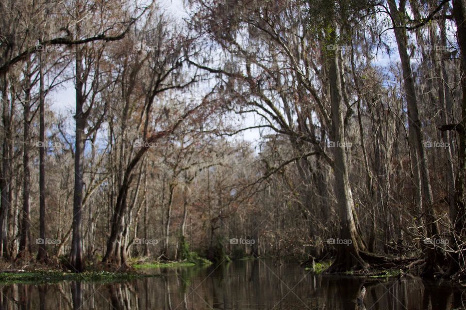 Hillsborough River 