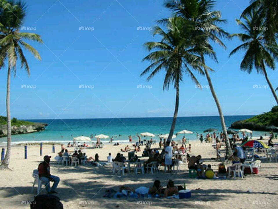Beach, Seashore, Resort, Travel, Tropical