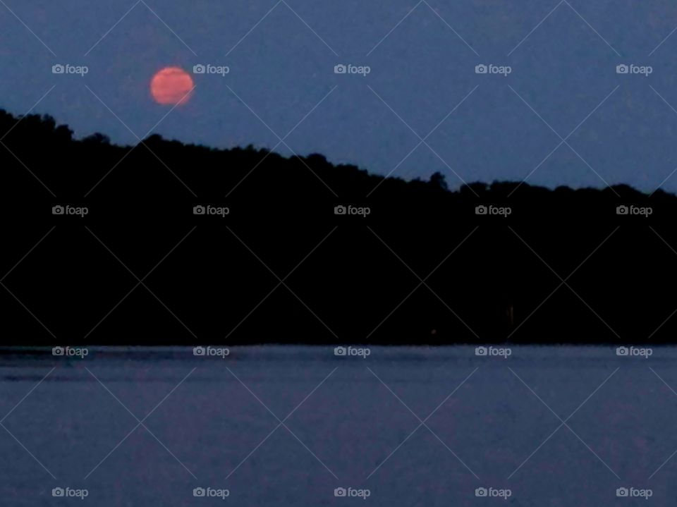 morning harvest moon.