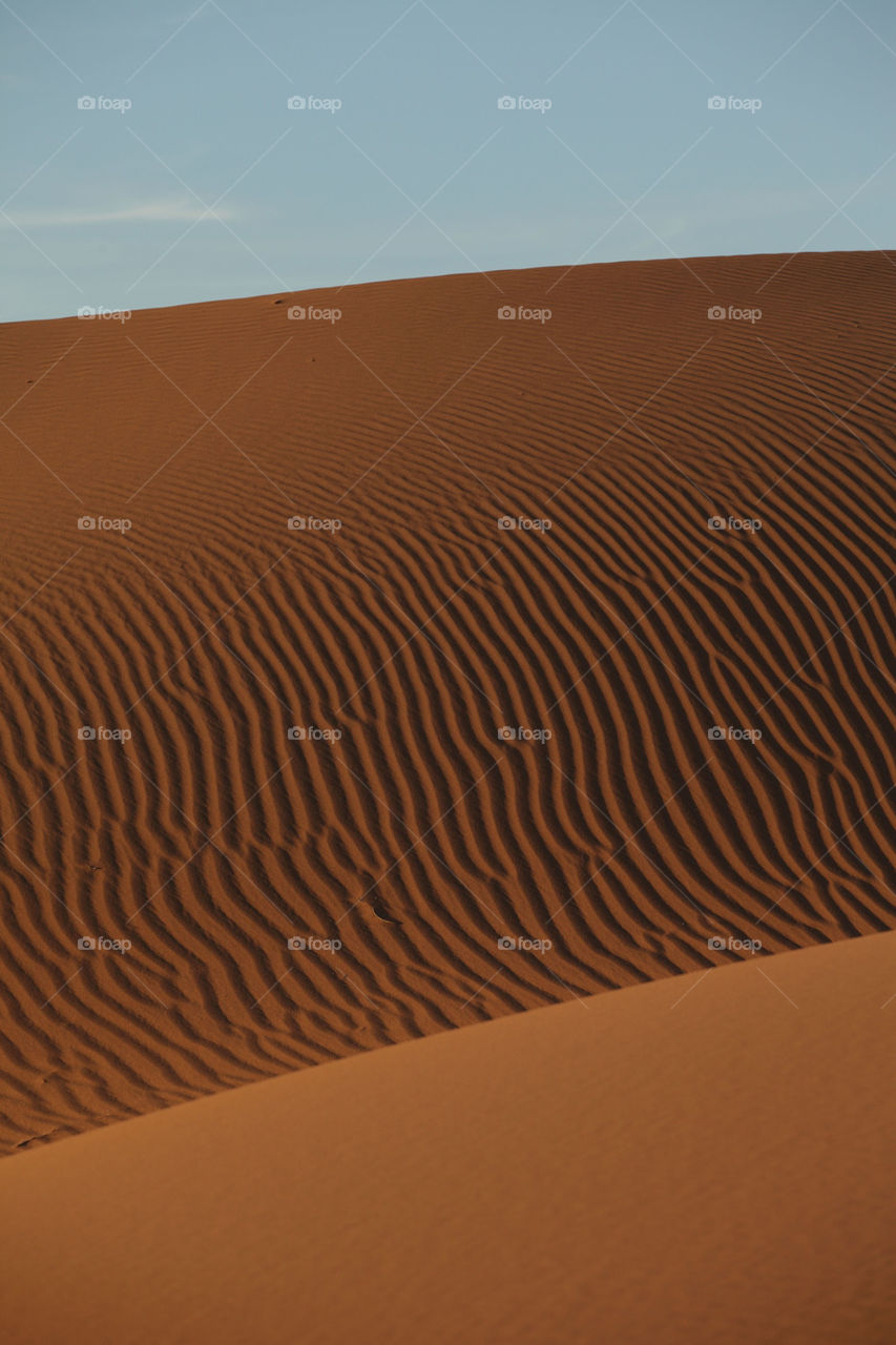 Sahara desert dunes