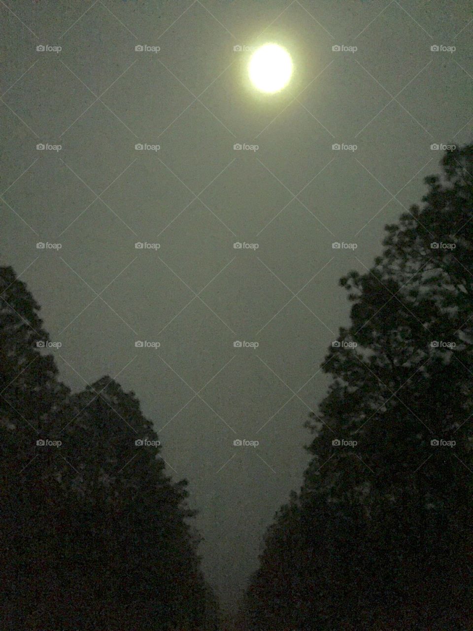 Hazy Moonlight Night 