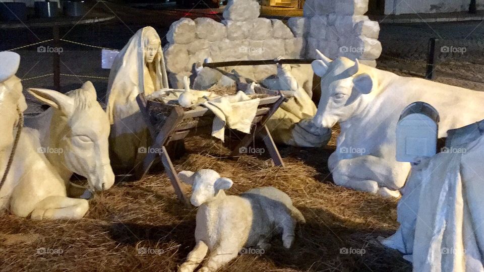 Christmas Crib 