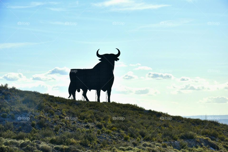 Torro , sky