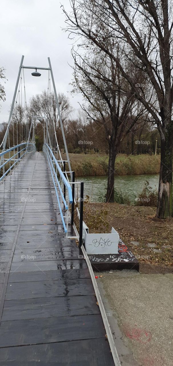 A bridge from the park