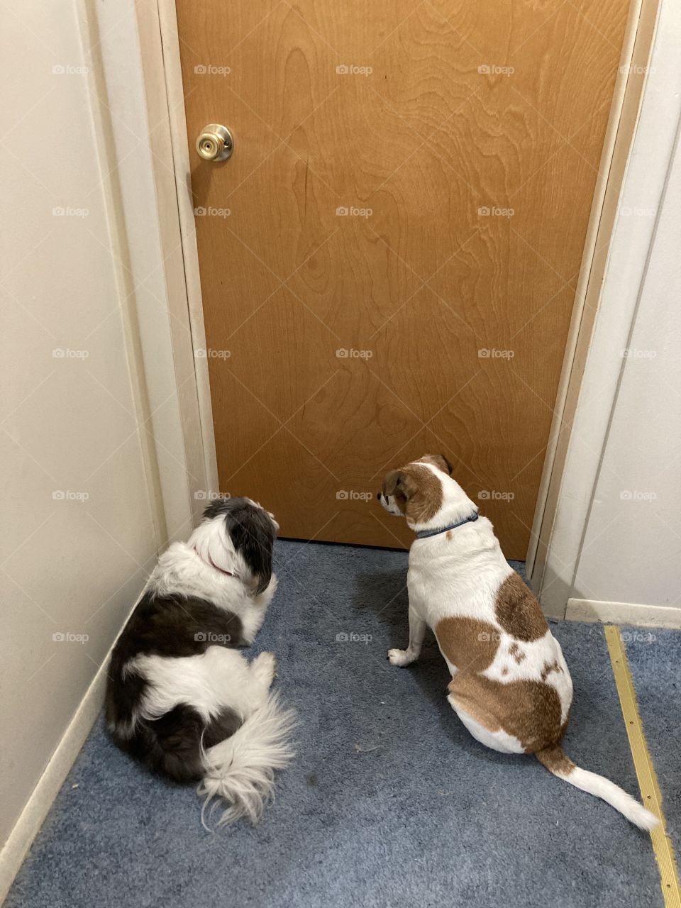 Waiting for a surprise 