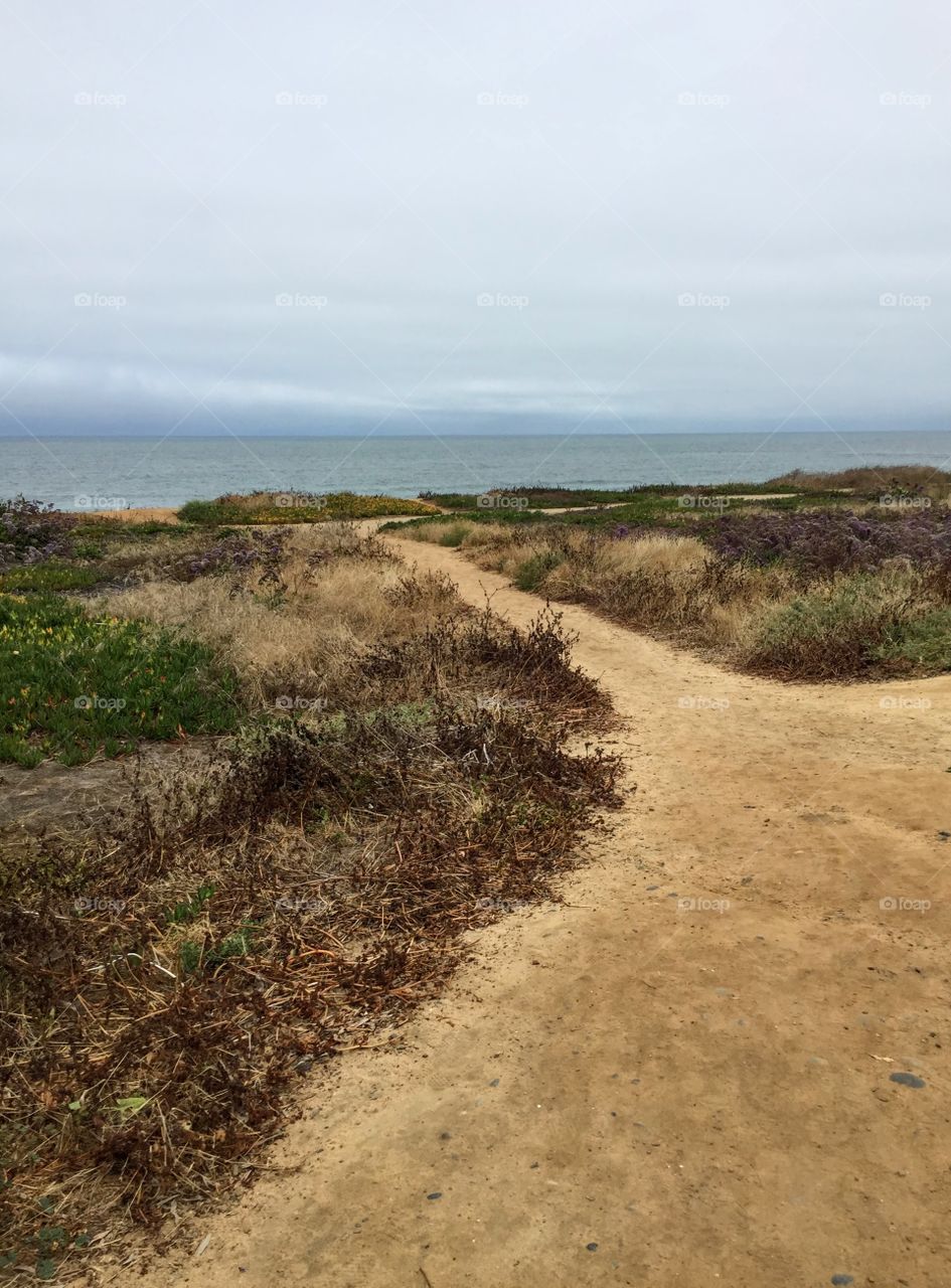 Path to the Ocean