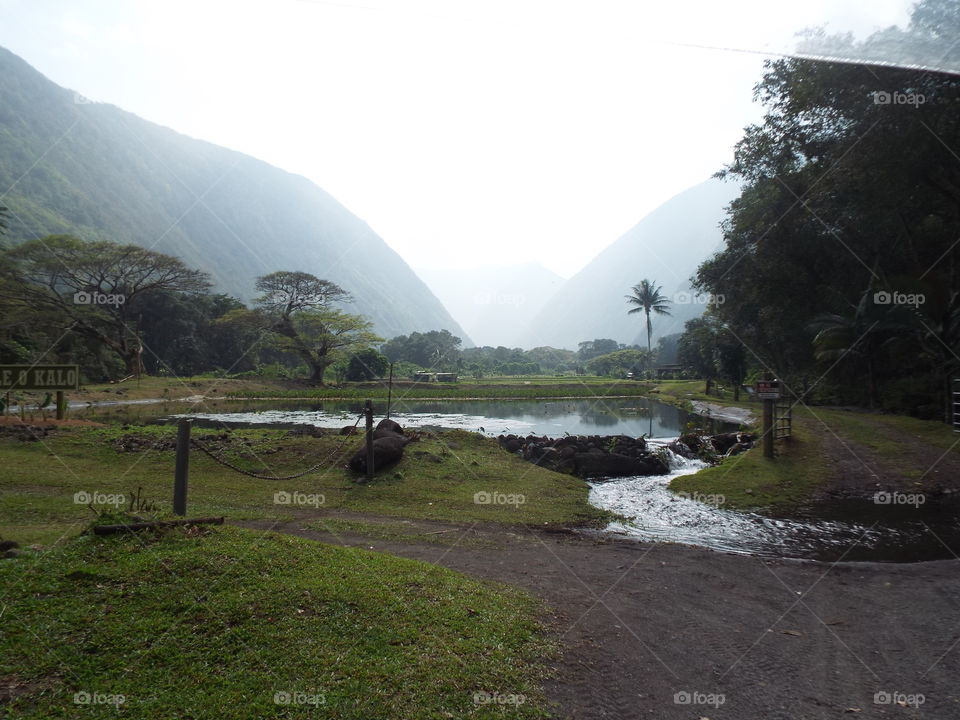 Inside the Waipio valley