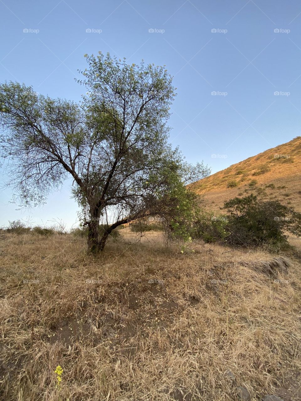 a landscape, a jump an eye visit