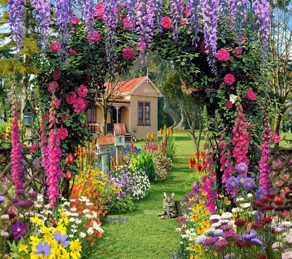 Flower, Garden, Flora, No Person, House
