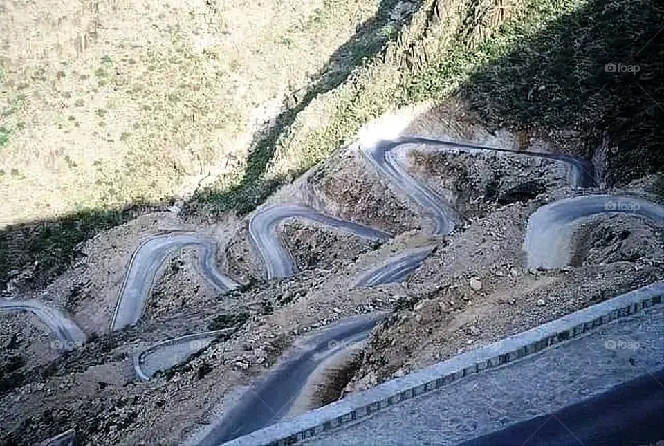 A very beautiful picture, and there is no better picture than it. There is no better picture of green herbs and colorful, red and white roses than it. Glory be to God, the natural and picturesque view, and there is no more