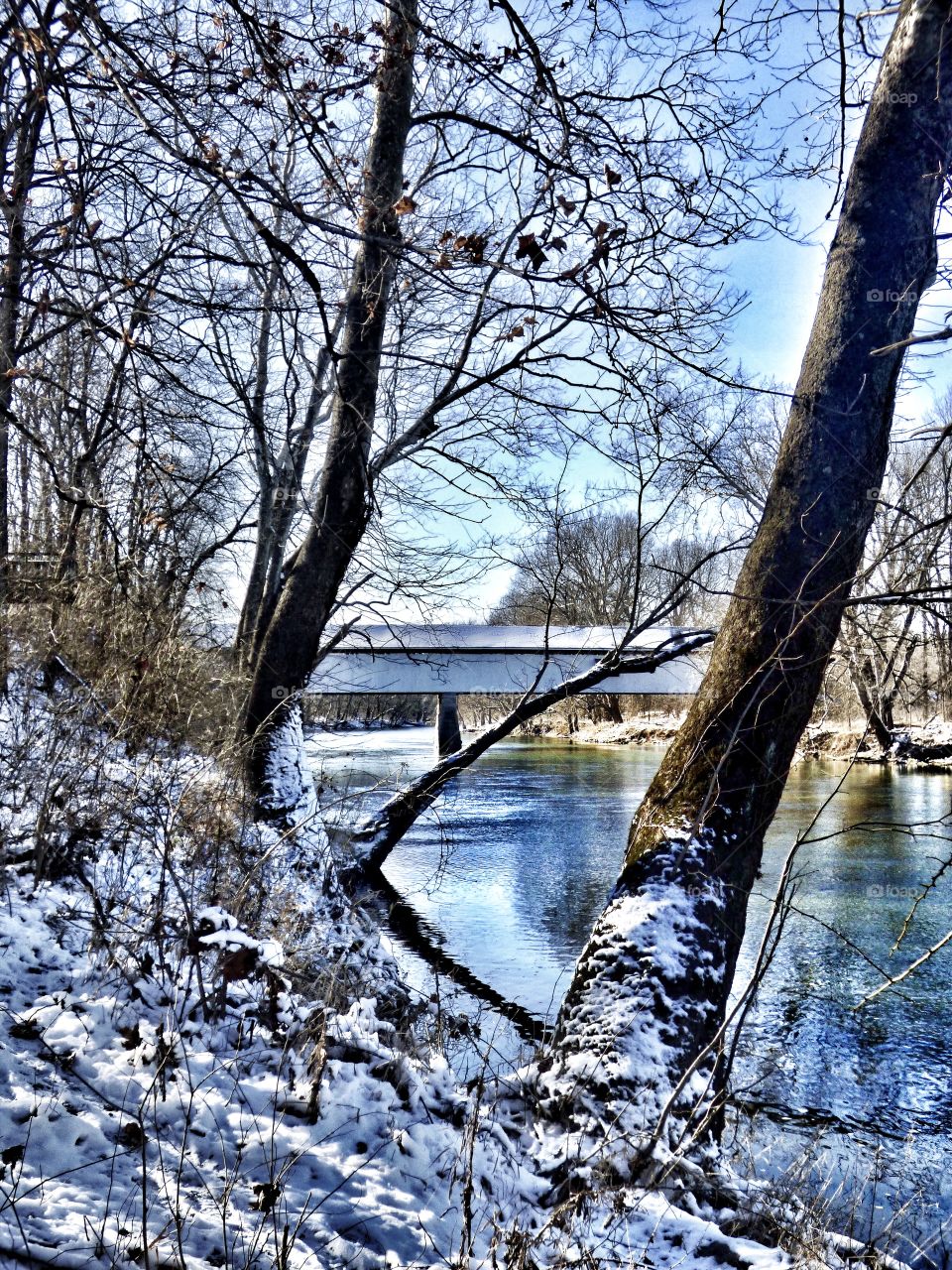 Beautiful view in winter. 