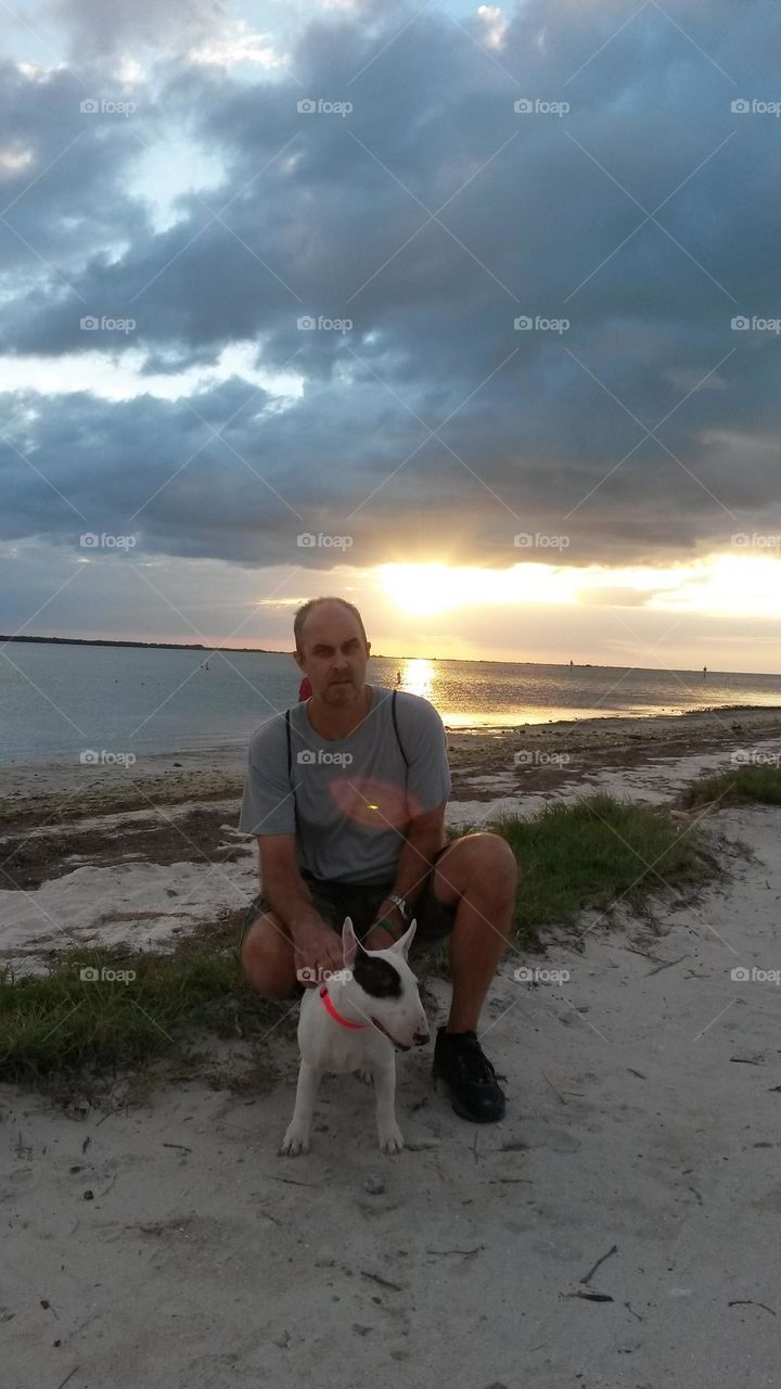 dog walking at sunset