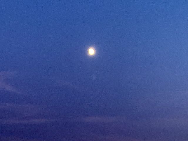 Moonlight 