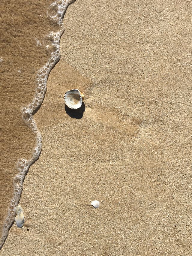 Beach background 