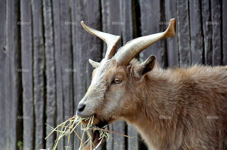 I'm famished and a hard day 