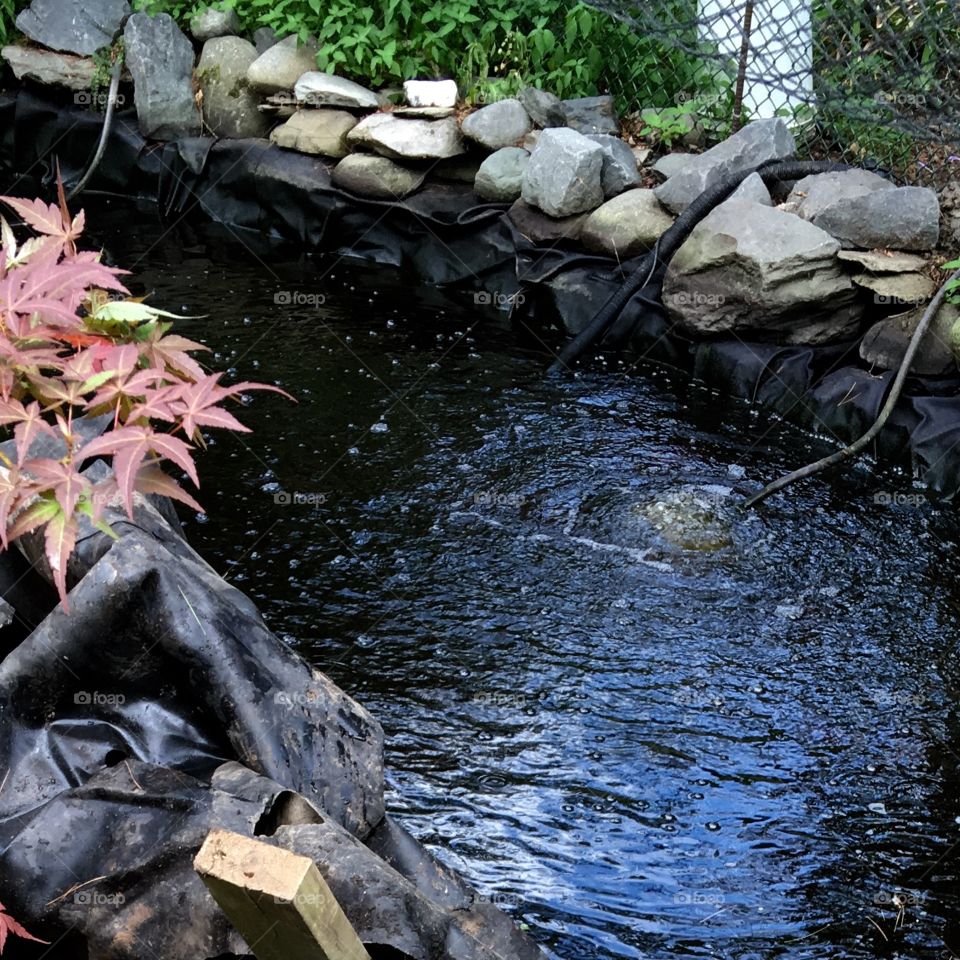 Koi pond in backyard, shaded.