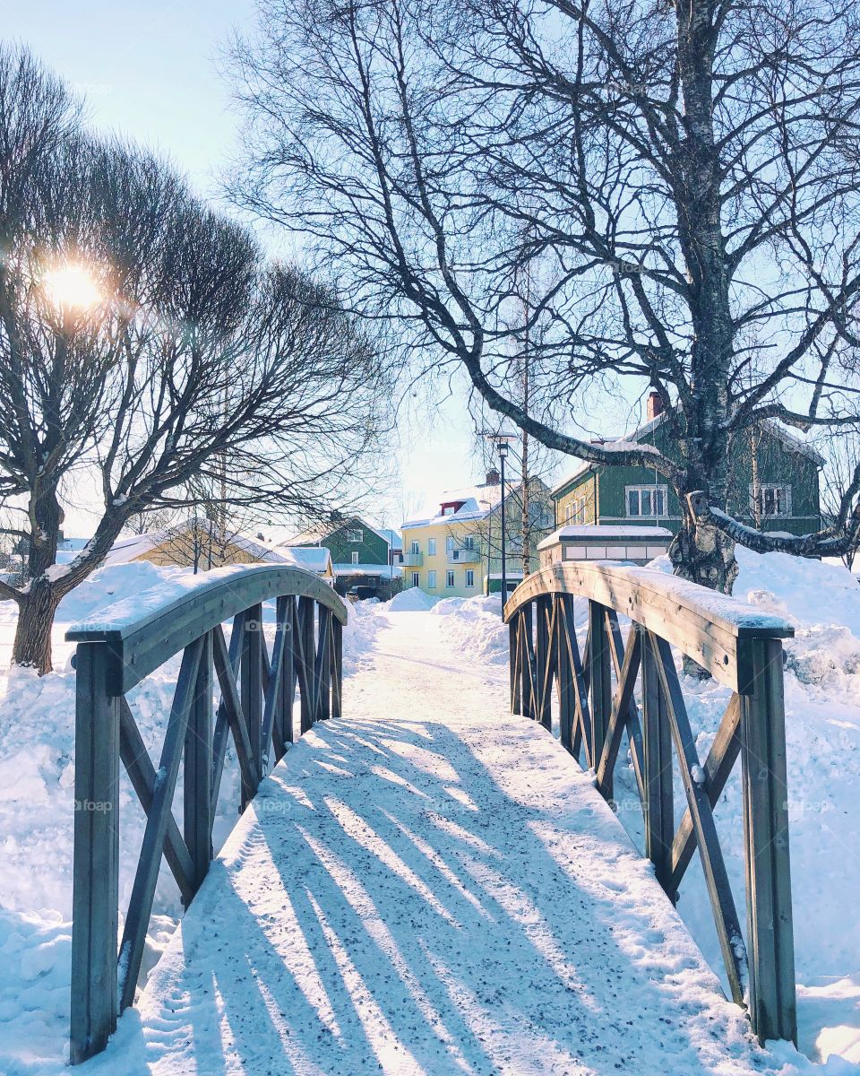 A walk in the park on a cold winter morning