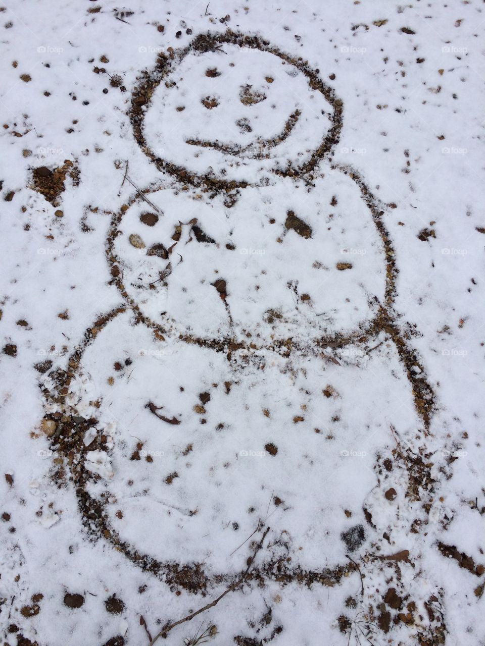 Southern snowman