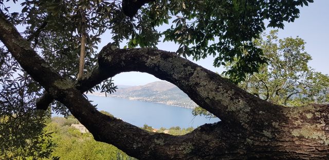 An eye on the sea