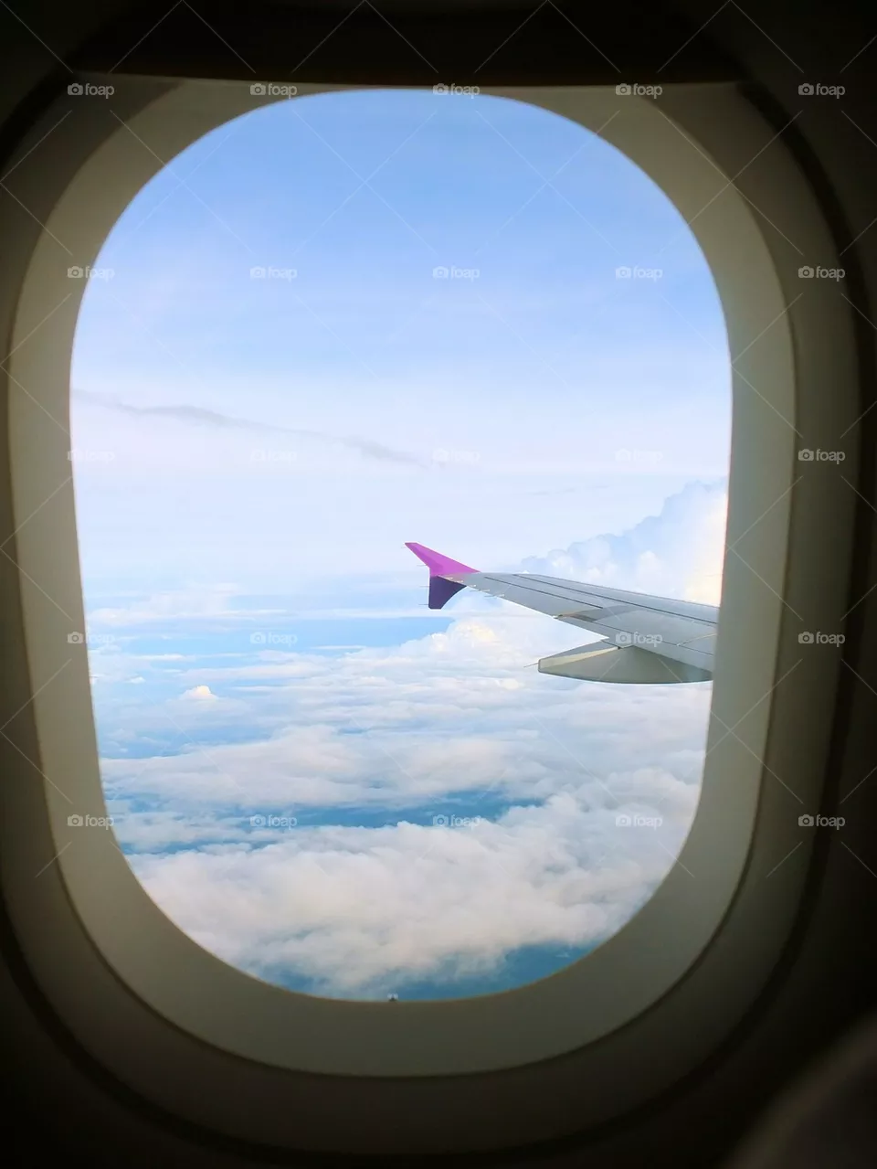 fly
