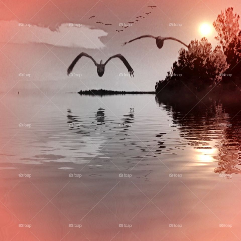 Flying with the birds