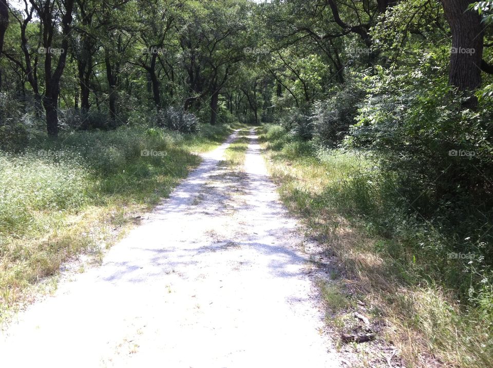 Hiking path in Texas. 