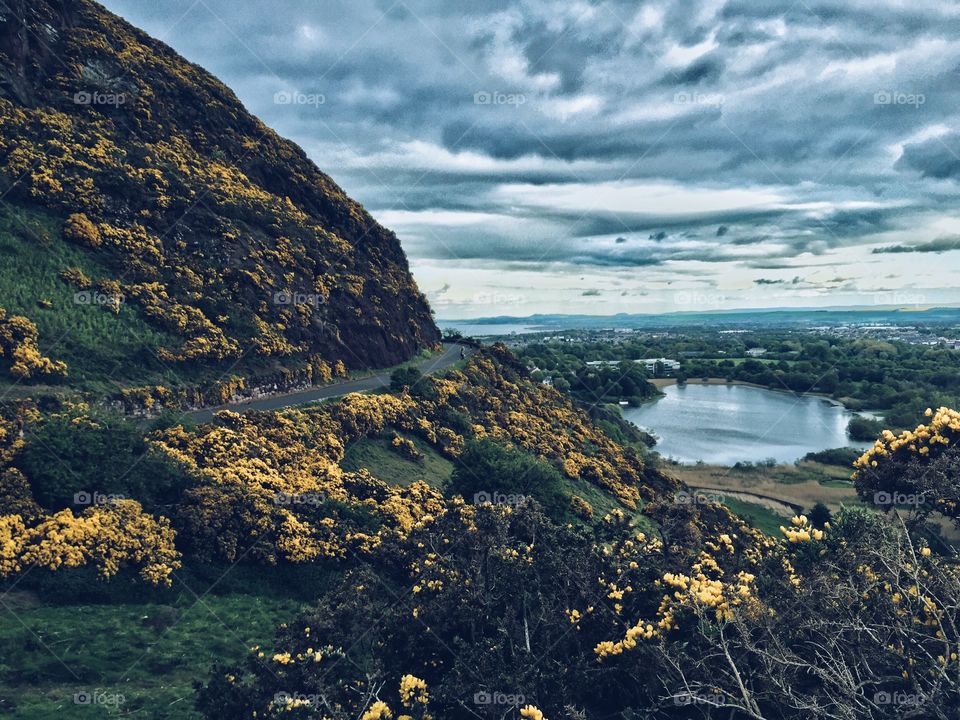 Edinburgh holyrood park