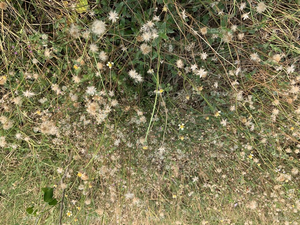 The stories of the nature, Countryside (Thailand)