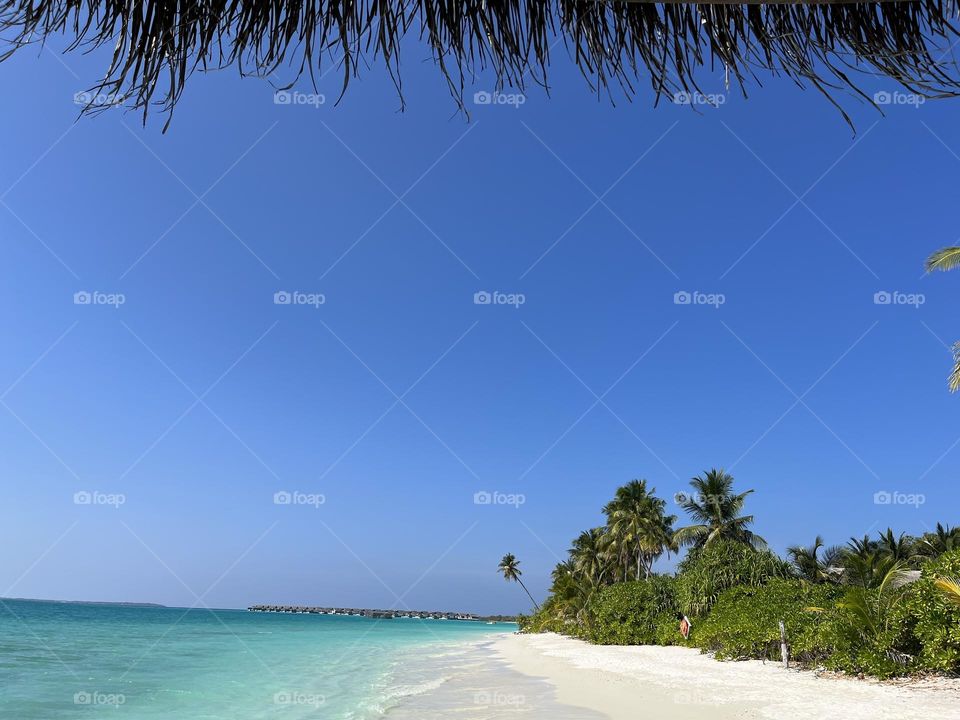 A typical beach in the Maldives on a sunny afternoon. The breathtaking combination of a crystal clear lagoon, a white sandy beach and green shrubs.