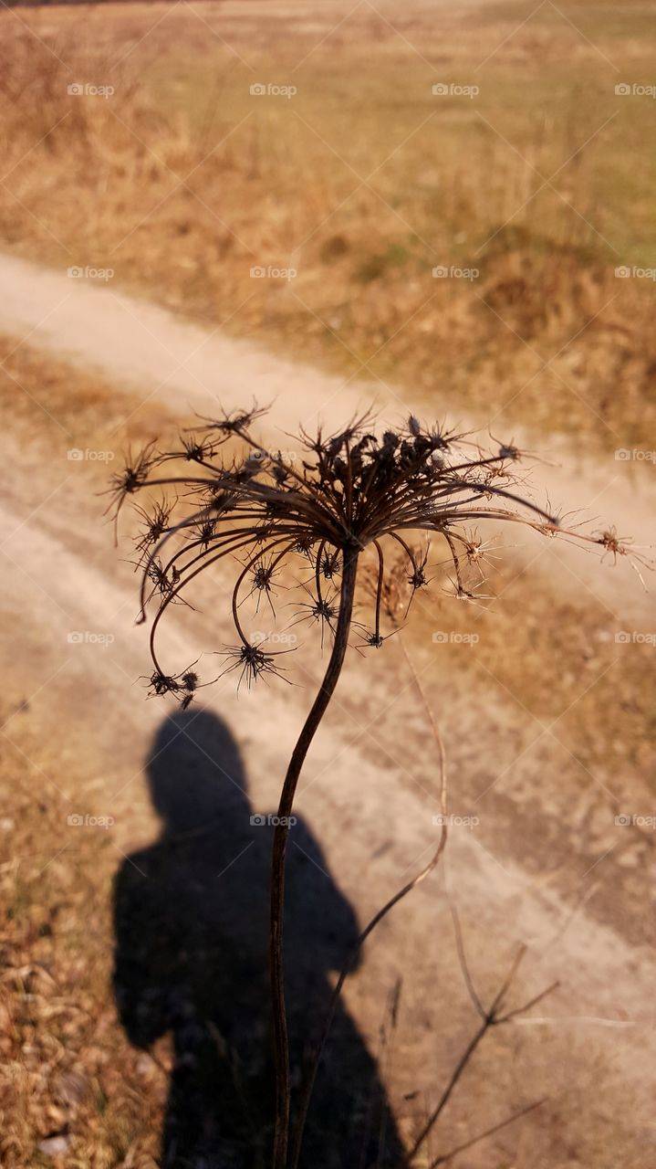 Under the umbrella ;-)