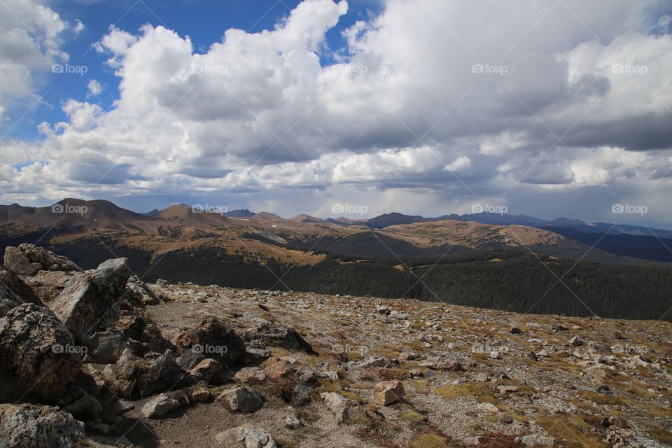 Colorado's tundra