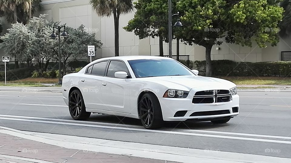 White Car in the road 