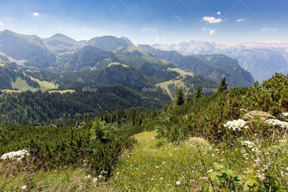 View of mountains and fields in Austria and Germany in beautiful Berchtesgaden at summer 