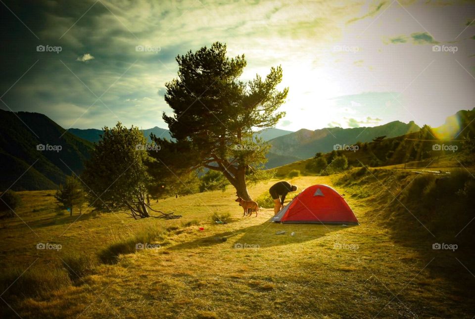 camping with dog, alps, wilderness, mountain, outdoors, nature, hiking, via alpina