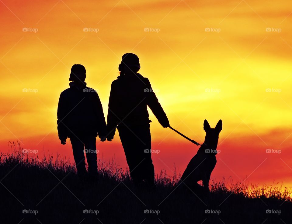 Family Sunset Dog Friends