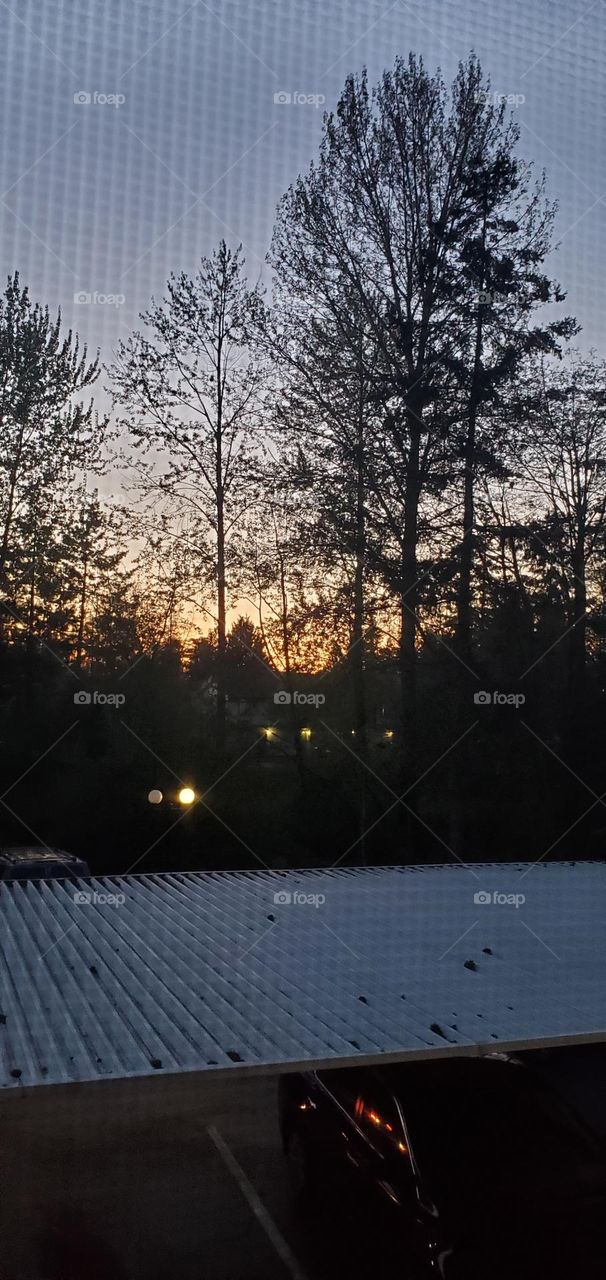 🌞 Sunday afternoon