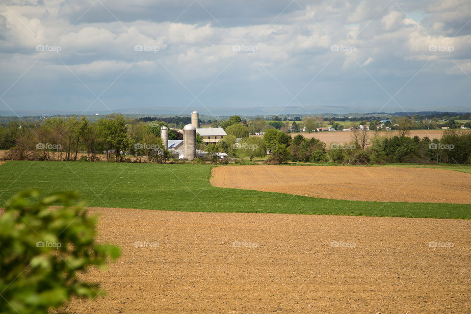 Farm Landscape