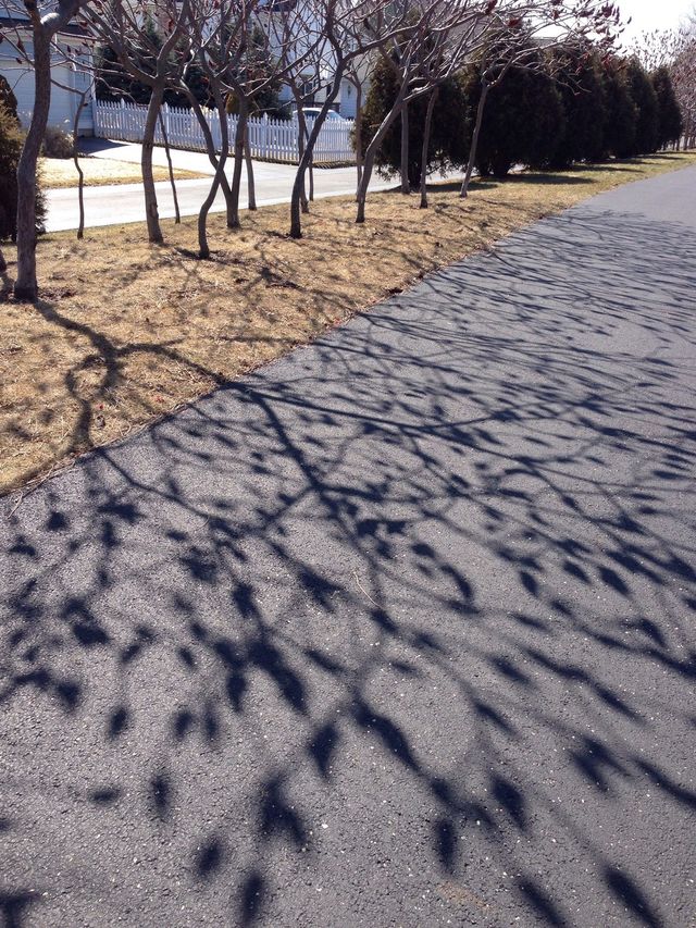 Shadow