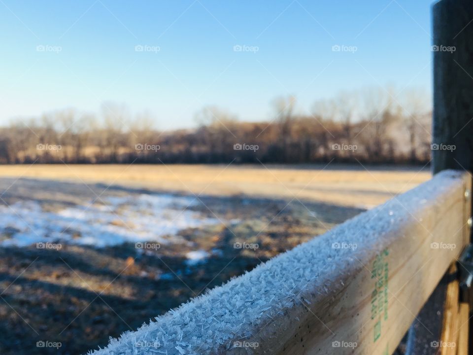 Frost on a wooden fence rail, patches of snow and shadows on dried pasture grass,  and blurred, bare trees visible in the distance in autumn