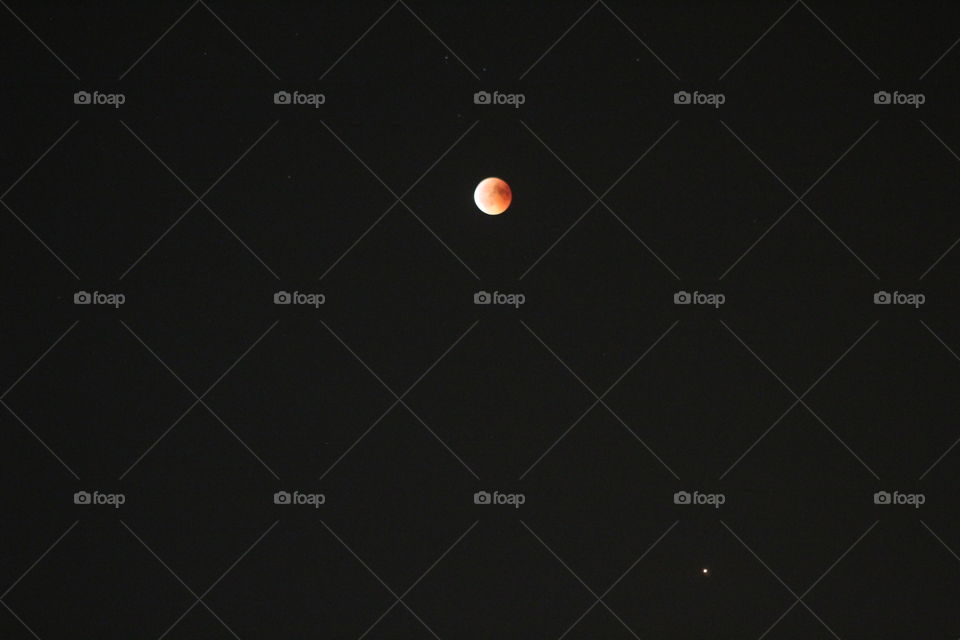 Full moon Blood moon