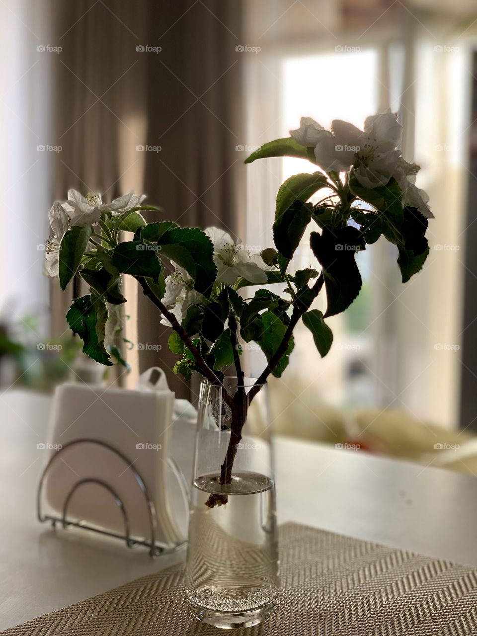 blossoming apple branch in a clear glass on the kitchen table