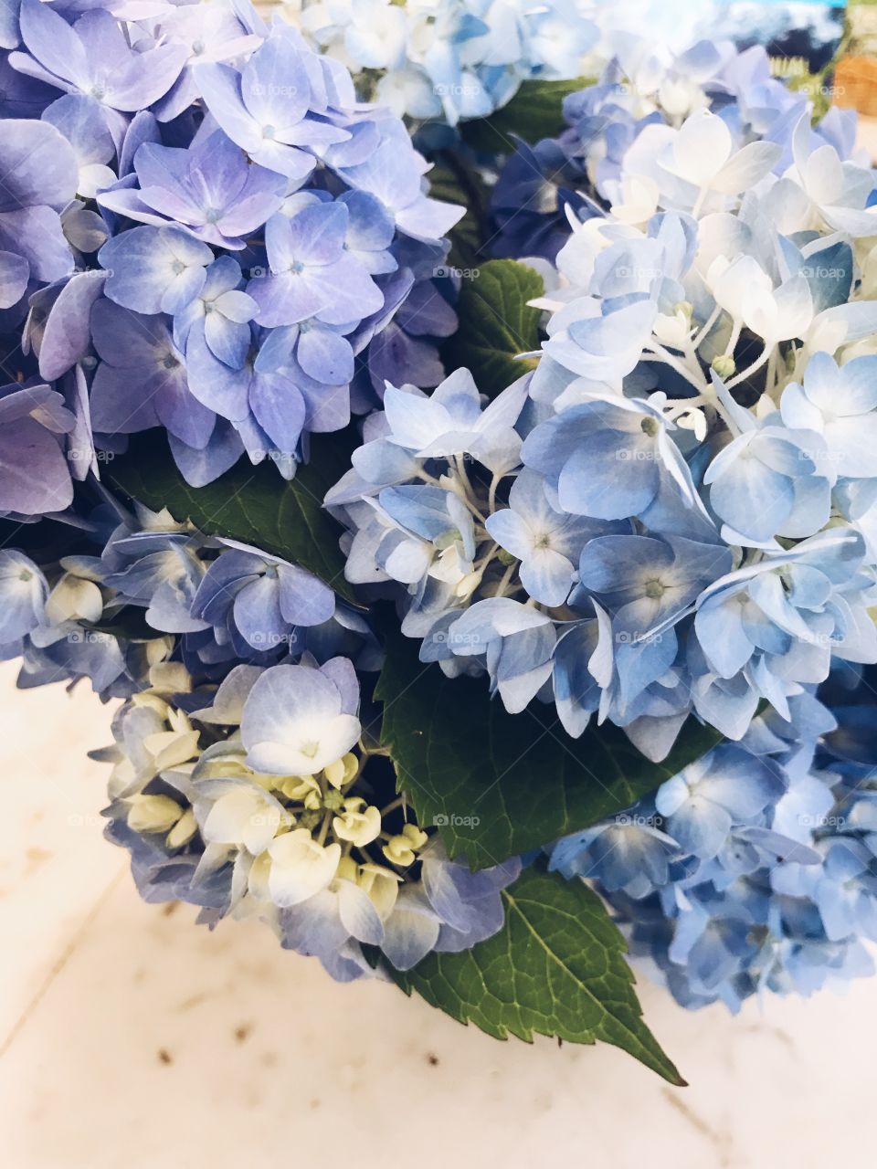 Blue and purple hydrangea bundle