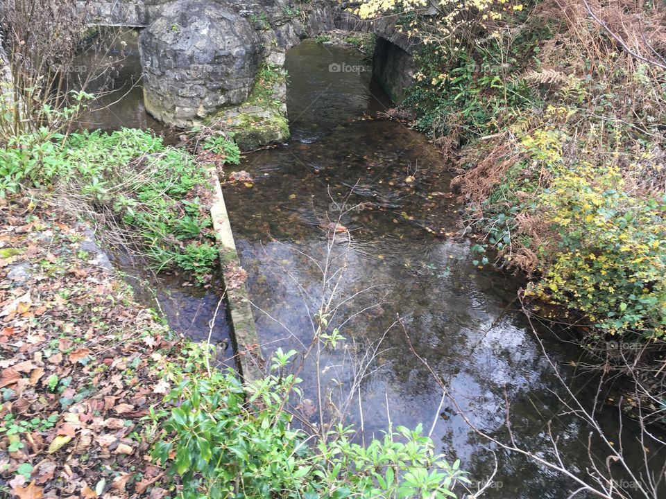 Dartington slow flowing river, Dartington, UK
