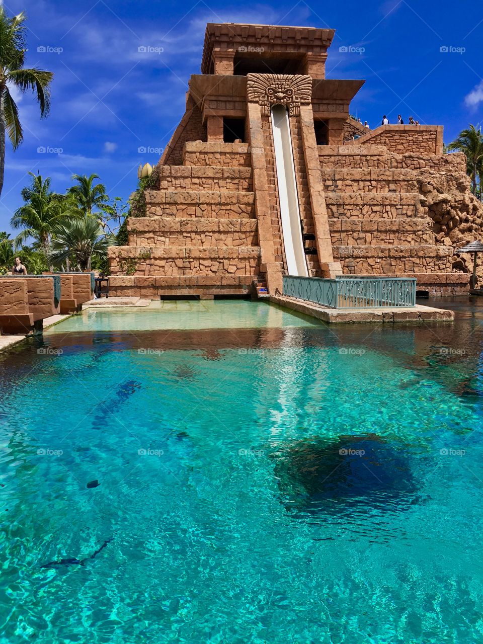 Atlantis Bahamas 💚
