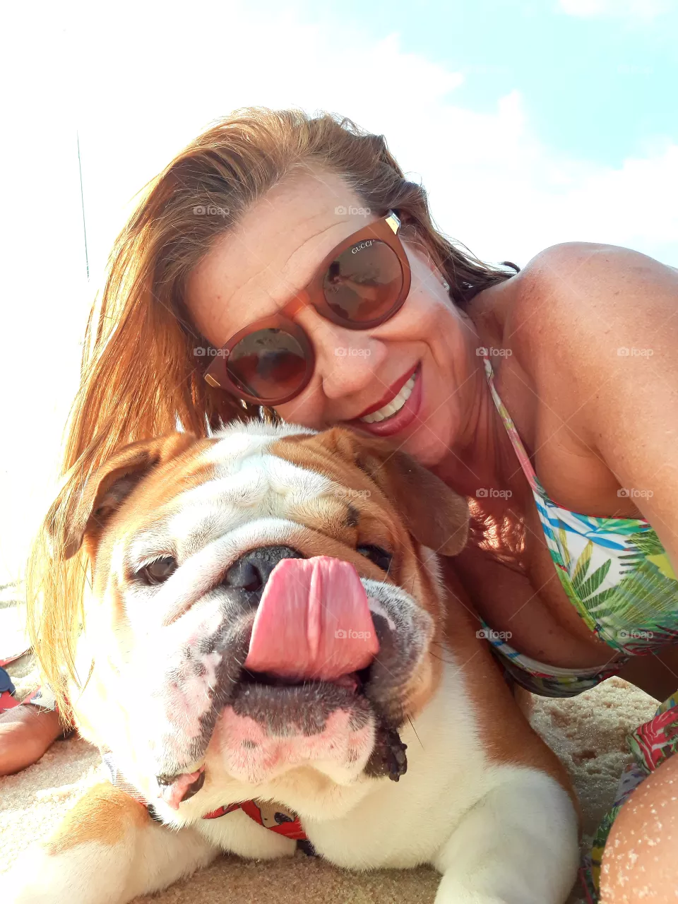 My  Bulldog