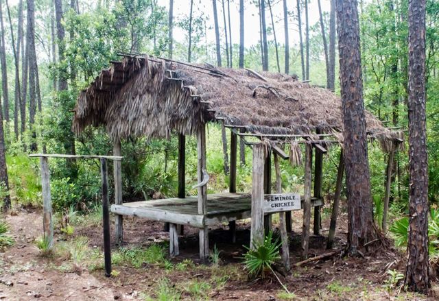 Okeefenokee Swamp Seminole Chickee