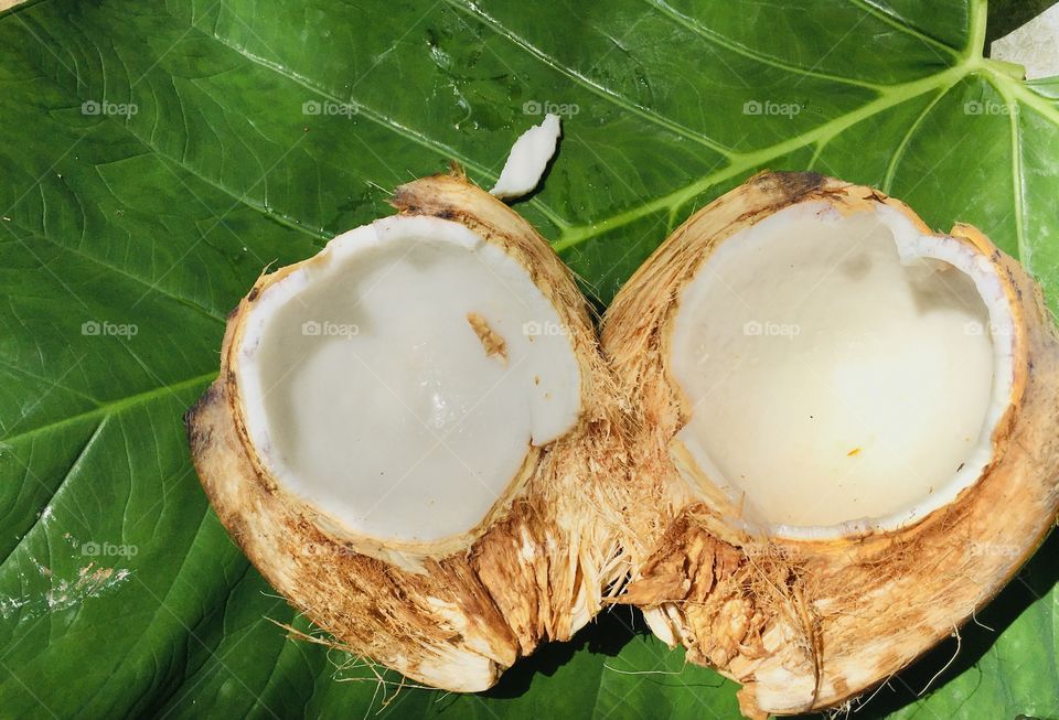 king coconut srilanka